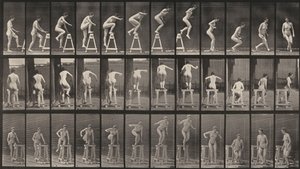  alkotó: Eadweard Muybridge
