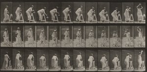  alkotó: Eadweard Muybridge