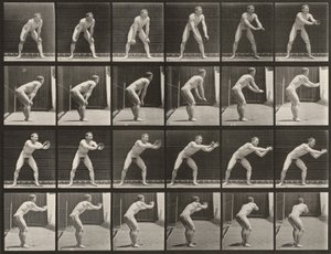 280. számú tábla. Baseball, labdaelkapás alkotó: Eadweard Muybridge