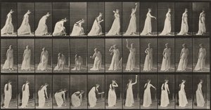  alkotó: Eadweard Muybridge