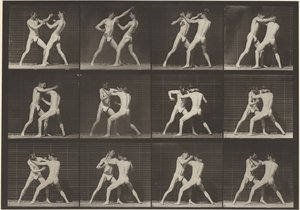 340-es rendszám. Boksz, nyitott kézzel (cipő),1887 (fénykép) alkotó: Eadweard Muybridge