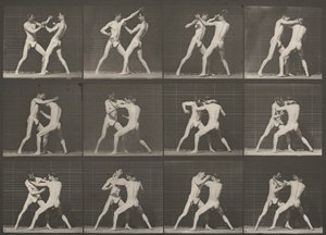 340. számú tábla. Boksz, nyitott kéz alkotó: Eadweard Muybridge