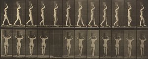 A 34-es számú rendszám. Sétál és 15 kilós kosarat cipel a fején, kezét felemelve,1887 (fénykép) alkotó: Eadweard Muybridge