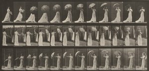  alkotó: Eadweard Muybridge