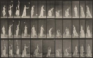 463. számú tábla. Nyújtózás, lehajlás és megfordulás alkotó: Eadweard Muybridge