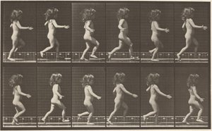 A 469-es számú rendszám. Futó gyermek,1887 (fénykép) alkotó: Eadweard Muybridge