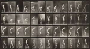  alkotó: Eadweard Muybridge