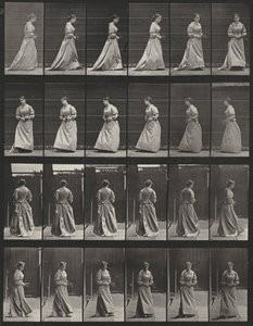  alkotó: Eadweard Muybridge
