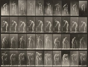 491. számú tábla. A, B: Kalapálás üllőn. C: Fejsze használata. D: Deszka fűrészelése alkotó: Eadweard Muybridge