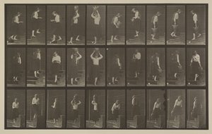 504-es számú tábla. Emelkedő és leszálló lépcsők alkotó: Eadweard Muybridge