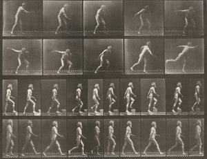 519. számú tábla. A: Diszkoszvetés. B: Fellépés egy lépcsőfokra. C: Séta alkotó: Eadweard Muybridge