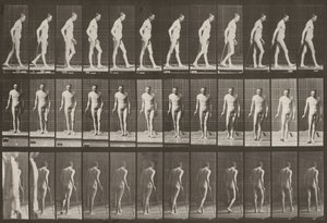  alkotó: Eadweard Muybridge