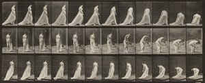  alkotó: Eadweard Muybridge