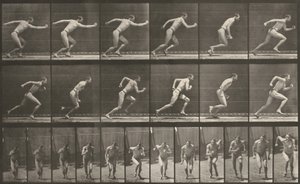  alkotó: Eadweard Muybridge