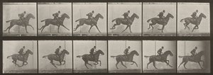 624. számú tábla. „Daisy” vágtat, felnyergelve alkotó: Eadweard Muybridge