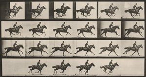  alkotó: Eadweard Muybridge