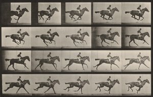  alkotó: Eadweard Muybridge