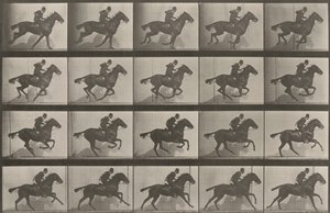  alkotó: Eadweard Muybridge