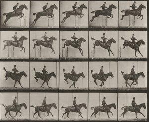  alkotó: Eadweard Muybridge