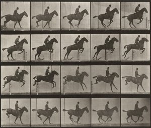  alkotó: Eadweard Muybridge