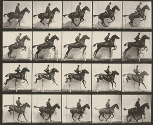 640. tábla. „Daisy” felnyergelve átugrik egy akadályt alkotó: Eadweard Muybridge