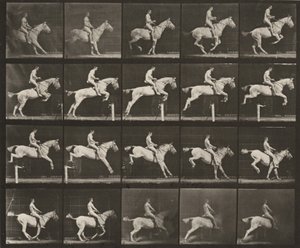  alkotó: Eadweard Muybridge