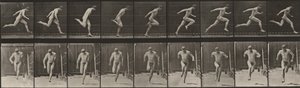  alkotó: Eadweard Muybridge