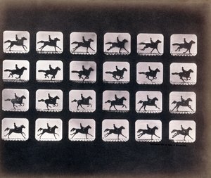 Futás (vágtatva) – Eadweard J. Muybridge alkotó: Eadweard Muybridge