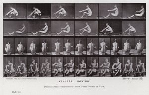 Mozgó emberalak: atléta, evezés (f/w fotó) alkotó: Eadweard Muybridge