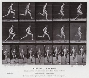 Mozgó emberalak: sportoló, futás (f/w fotó) alkotó: Eadweard Muybridge