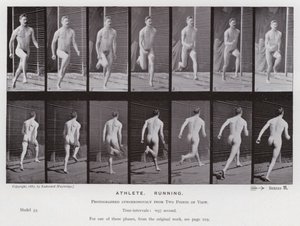 Mozgó emberalak: sportoló, futás (f/w fotó) alkotó: Eadweard Muybridge