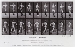 Mozgó emberalak: sportoló, gyalogló (f/w fotó) alkotó: Eadweard Muybridge