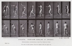 A mozgásban lévő emberi alak: sportoló, krikettben tekerésben (f/w fotó) alkotó: Eadweard Muybridge