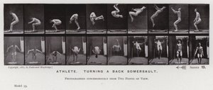 Mozgó emberalak: Sportoló, szaltót hátrafordulva (f/w fotó) alkotó: Eadweard Muybridge