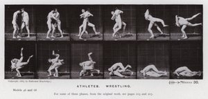 Mozgó emberalak: atléták, birkózás (f/w fotó) alkotó: Eadweard Muybridge