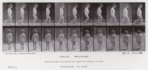 Mozgó emberi alak: Gyermek, sétál (f/w fotó) alkotó: Eadweard Muybridge