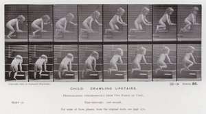 Mozgó emberalak: Gyermek, mászik az emeleten (f/w fotó) alkotó: Eadweard Muybridge