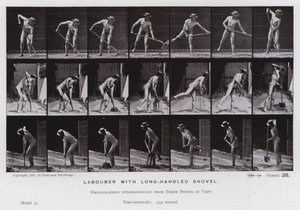 Mozgó emberalak: munkás hosszú nyelű lapáttal (f/w fotó) alkotó: Eadweard Muybridge
