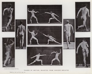 A mozgásban lévő emberi alak: A mozgás fázisai, különféle sorozatokból válogatva (f/w fotó) alkotó: Eadweard Muybridge