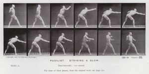 Mozgó emberalak: Pugilist, csapást mér (f/w fotó) alkotó: Eadweard Muybridge