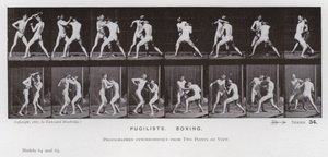 Mozgó emberalak: Pugilisták, boksz (f/w fotó) alkotó: Eadweard Muybridge