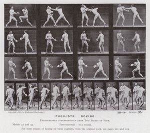 Mozgó emberalak: Pugilisták, boksz (f/w fotó) alkotó: Eadweard Muybridge