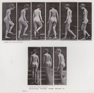 Mozgó emberalak: Válogatott fázisok a 41-es sorozatból (f/w fotó) alkotó: Eadweard Muybridge