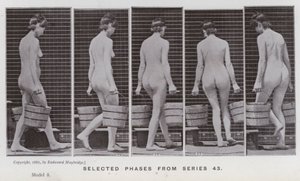 Az emberi alak mozgásban: Válogatott fázisok a 43-as sorozatból (f/w fotó) alkotó: Eadweard Muybridge