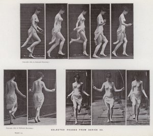 Az emberi alak mozgásban: Válogatott fázisok az 53-as sorozatból (f/w fotó) alkotó: Eadweard Muybridge