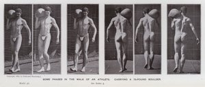 Az emberi alak mozgásban: Egy atléta sétájának néhány fázisa egy 75 kilós sziklatömböt cipelve (f/w fotó) alkotó: Eadweard Muybridge