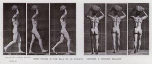 Az emberi alak mozgásban: Egy atléta sétájának néhány fázisa egy 75 kilós sziklatömböt cipelve (f/w fotó) alkotó: Eadweard Muybridge