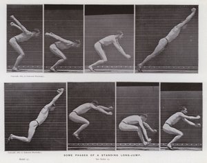 Mozgó emberi alak: egy álló távolugrás néhány fázisa (f/w fotó) alkotó: Eadweard Muybridge