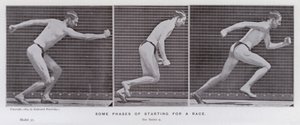 A mozgásban lévő emberi alak: a verseny indulásának néhány fázisa (f/w fotó) alkotó: Eadweard Muybridge