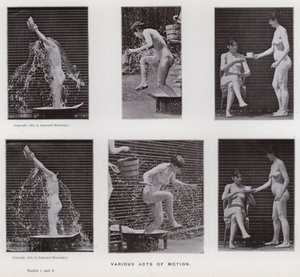 Mozgó emberalak: különféle mozgások (f/w fotó) alkotó: Eadweard Muybridge